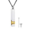 Flongo Birthstone Necklace, Zircon Necklace, Cuboid Cremation Stick, Free Engraving, Funnel Included, Stick, Memorial Accessory, Pair Necklace, Couple, Matching, Stainless Steel, For Your Hand,