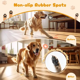 LOOBANI Dog Grip Pad Paw Protector Anti-Slip Traction Pads from Slipping on Slippery Floors, Protection for Injuries and Brace for Weak Paws 12 Set (48 Pcs)-XL