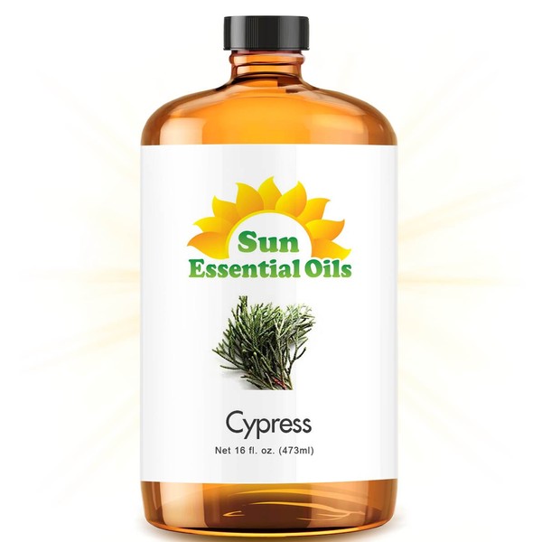 Cypress Essential Oil (Huge 16oz Bottle) Bulk Cypress Oil - 16 Ounce