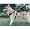 Tuff Pupper No Pull Easy Walk Dog Harness | Heavy