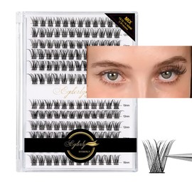 Lash Clusters 144pcs D Curl Individual Lashes DIY Lash Extension, Eyeberly LASH 10/12/14/16mm Mix Length Cluster Lashes Natural Look Eyelash Extensions DIY Wispy Lashes at Home(Princess)