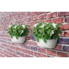 elho Vibia Campana Wall Basket 35 - Planter for Balcony