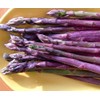 Purple Passion Asparagus 10 Roots - Passion in The Garden