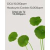 MaryMay Cica Houttuynia Tea Tree Calming Mask - Daily Pull