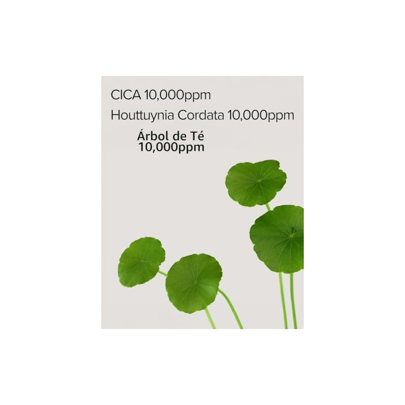 MaryMay Cica Houttuynia Tea Tree Calming Mask - Daily Pull