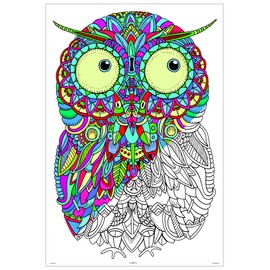Stuff2Color Baby Owl - Giant Coloring Poster - 32.5" X 22" (Great for Family Time, Adults, Kids, Classrooms, Care Facilities and Group Activities - Includes Reusable Rigid Storage Tube)