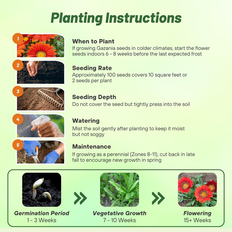 Outsidepride New Day Red Shades Gazania Seeds for Planting –