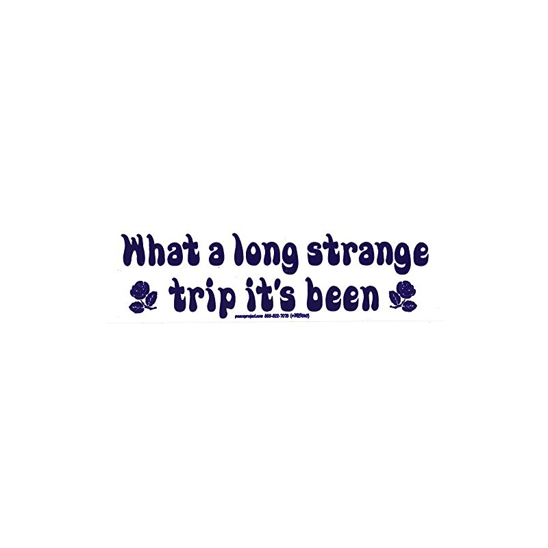 What A Long Strange Trip It's Been - Grateful Dead