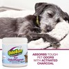 OdoBan 14 oz. OdoMagnet Odor Absorber with Activated Charcoal, Pet