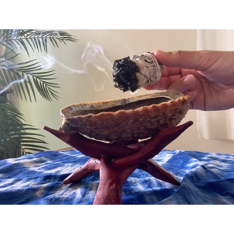 [Juicy Spicy] White Sage Bundle White Sage 2 Incense Purification