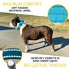 ADITYNA Heavy Duty Dog Collar for Large Dogs - Reflective