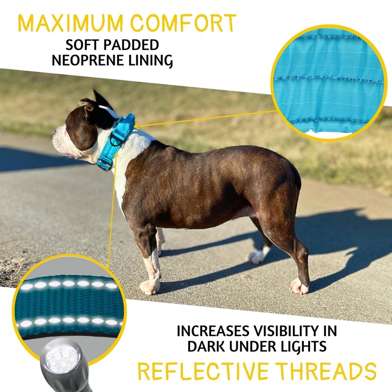 ADITYNA Heavy Duty Dog Collar for Large Dogs - Reflective
