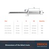 Presch Blind Rivets Assortment 400 pcs. - Complete Set of