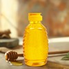 PPXHFV 24 Pack Honey Bottle, Honey Bottles Squeeze 16 oz,With