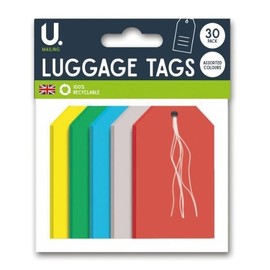 Sixstore Assorted Colours Luggage, Storage Tags - Pack of 30, 120mm x 60mm