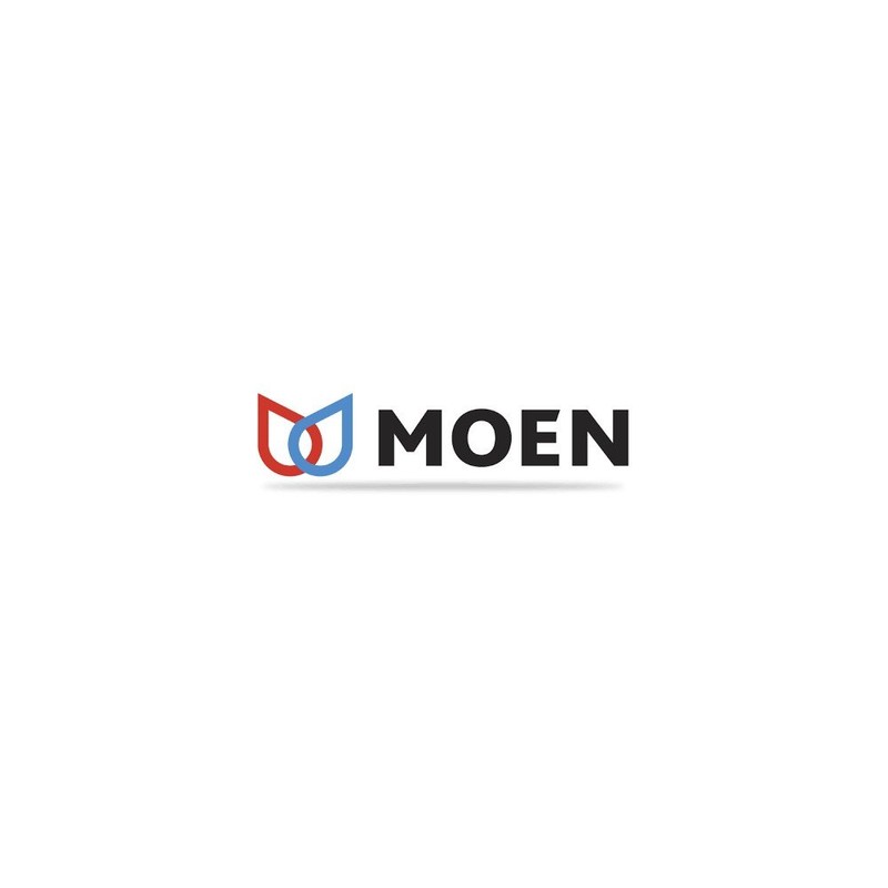 Moen 140713 Hose Kit