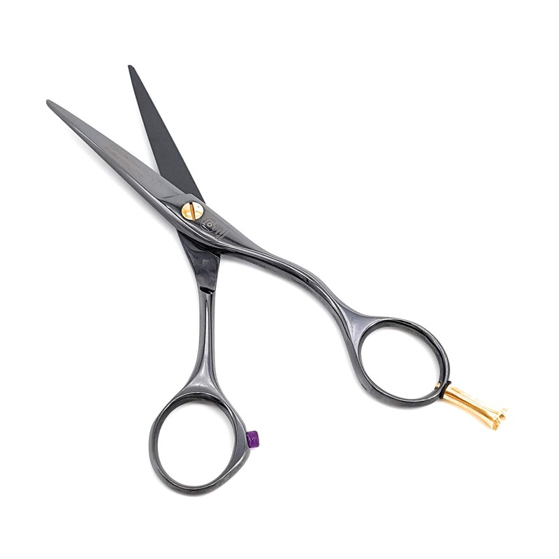 NTS-Solingen Professional Hairdressing Scissors Ergonomic Rustproof Titanium Coated 5.5 Inches