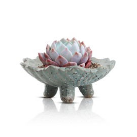Mozing Retro Succulent Planter Ceramic Flower Pot for Indoor Outdoor, Cactus Planter Pot with Drainage Hole for Home & Office Decor