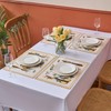 Placemats Washable 45 x 32 cm Place Mat Washable Place