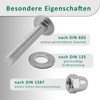 DSM - Carriage Bolts M6 x 35 mm DIN 603