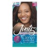 Just 5 Color Natural Rich Auburn (3 Pack)