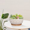 Eightpot 8 Inch Ceramic Succulent Planter Pot with Drainage Hole