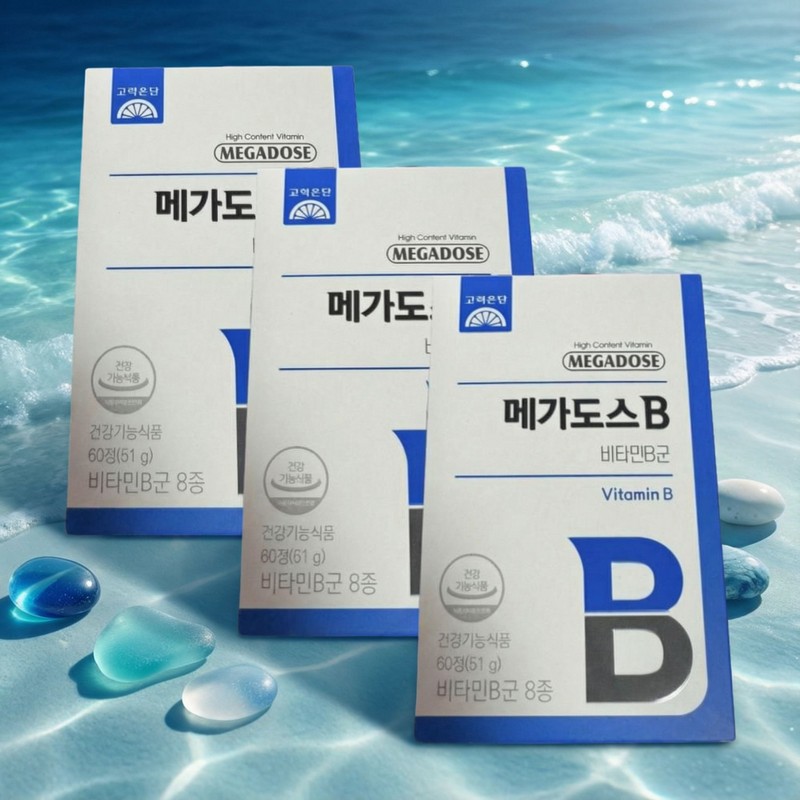 Mongul Cloud Partners Korea Eundan Megadose B Vitamin B Complex
