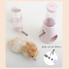 Hedgehog, Hamster, Squirrel, Water Bottle, Automatic Water Bottle, Water Cage,