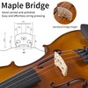 FDT&ENJOY Violin for Beginners Adults,4/4 Violin Full Size Acoustic Violins,