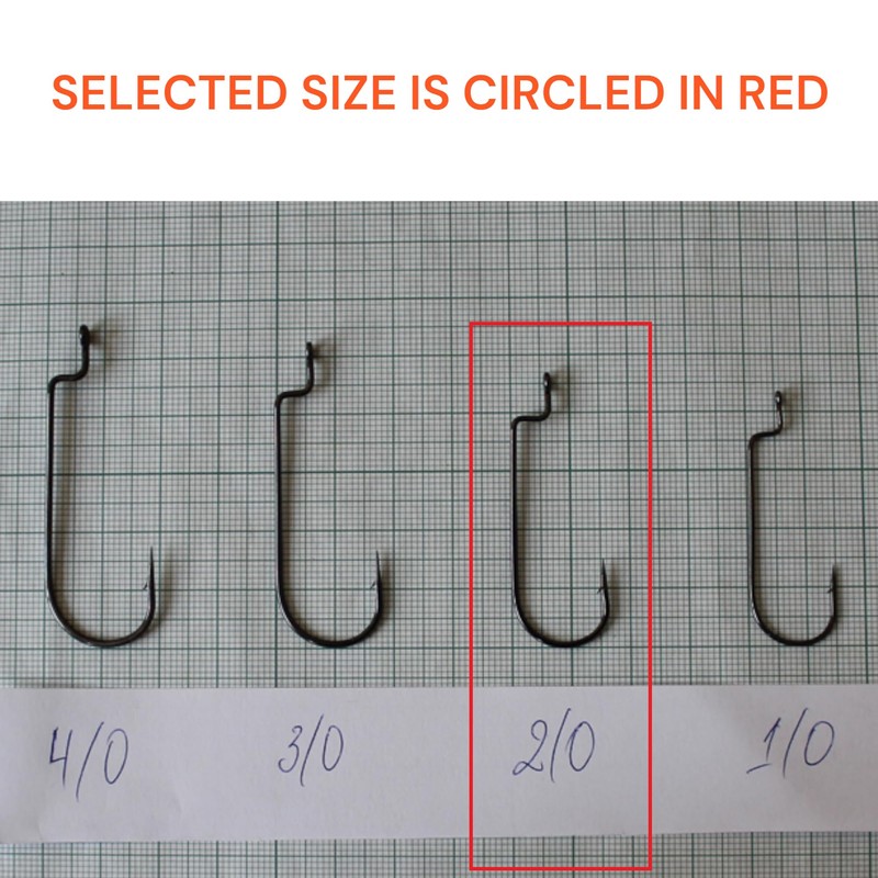 PRO FILSTAR Offset Hook Set of 12 N2/0 - Worm