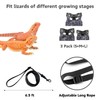 3 Pack Bearded Dragon Harness and Leash Set - Adjustable
