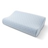 Arctic Sleep by Pure Rest MFP-073 Cool-Blue Memory Foam Contour