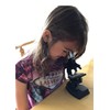 The Magic School Bus: Microscope Lab