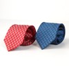 The Shirt Studio Red Flower Cubic Automatic Tie