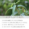 Natural 100% Eucalyptus Citriodora Oil (Lemon Eucalyptus) 100ml Essential Oil