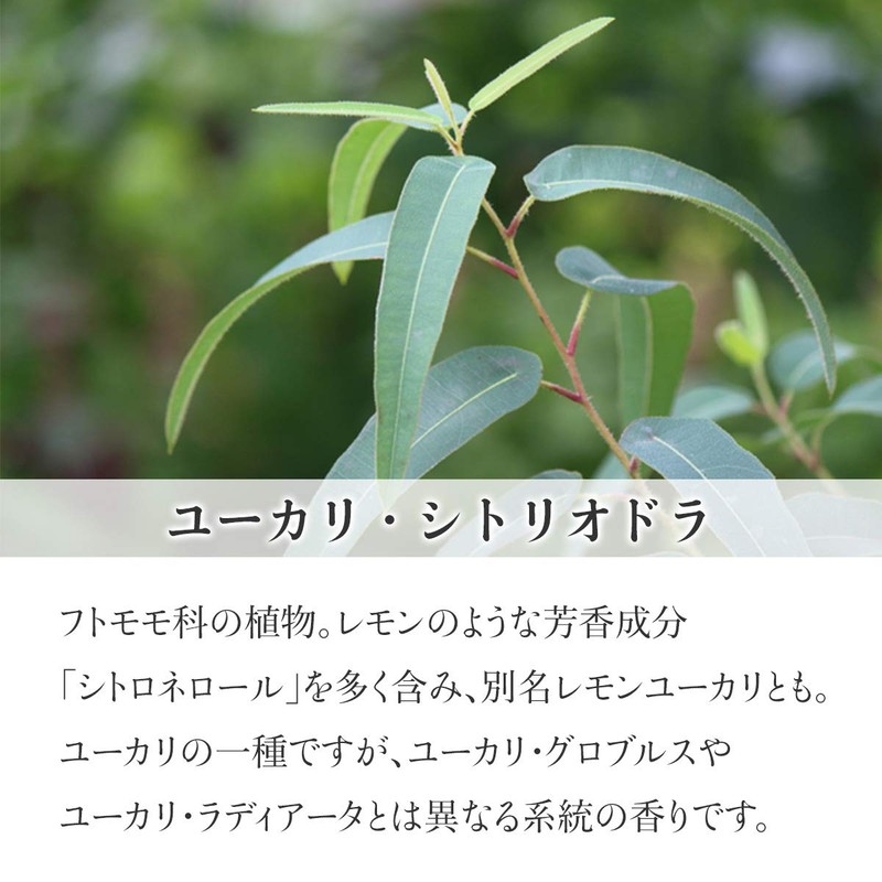 Natural 100% Eucalyptus Citriodora Oil (Lemon Eucalyptus) 100ml Essential Oil