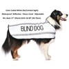 BLIND DOG (Dog Has Limited/No Sight) White Colour Coded S