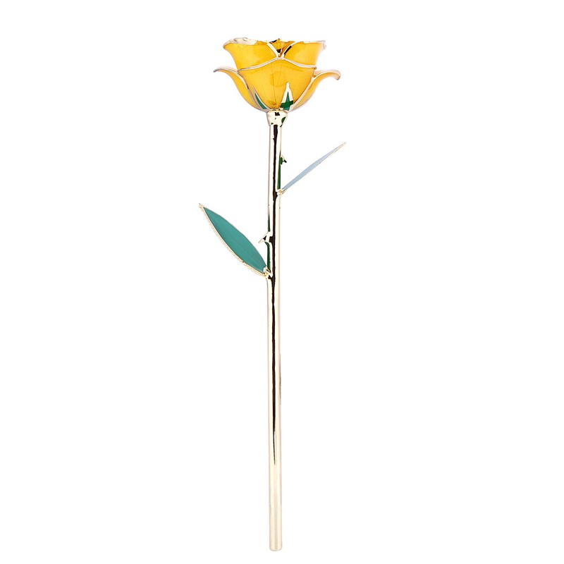Gold Dipped Rose Flowers Love Gift for Girlfriend Birthday Christmas
