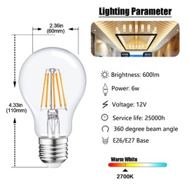 A19 6W Dimmable Light Bulbs, 12V LED Light Bulb RV Camper Landscape Light Bulb, 2700K Warm White, Clear Antique LED Filament Bulb for Solar Battery System Lighting, RV, Marine LED Lights, 4 Pack