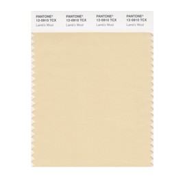 PANTONE Smart 12-0910X Color Swatch Card, Lamb's Wool