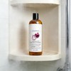 Excellvo Shampoo,Onion Shampoo with Rosemary
