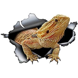 Bearded Dragon Animal Pet Sticker Graphic Decal Sticker 5"
