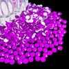 Flatback Glass Rhinestones,Bedazzler Gems 1440pcs Non Hotfix Crystal Rhinestones for