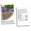 Chia Seeds for Planting, 1000+ Seeds Per Packet,Herb/Flower, (Isla's Garden