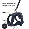 pangdi Cat Harness and Leash Set Escape Proof Tactical Extra