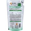 Additive-Free Foam Shampoo