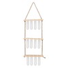 3 Tiered Wall Hanging Plant Terrarium with 12 Test Tubes
