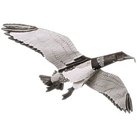 Jackite Loon Decoy Kite / Windsock