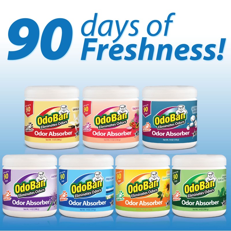 OdoBan Solid Odor Absorber Eliminator for Home and Small Spaces,