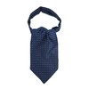 WANYING Men's Ascot Tie Scarf Cravat Ties Simple Chic for